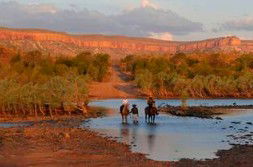 Home Valley Station - South Australia Travel 2
