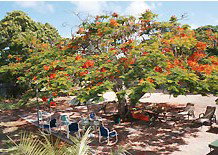 Barnacles Backpackers - South Australia Travel 1