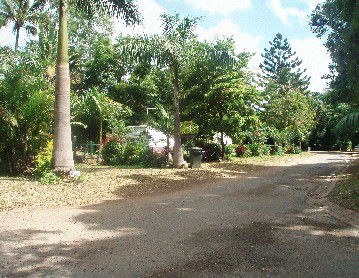 Cape Hillsborough Nature Resort - South Australia Travel 4