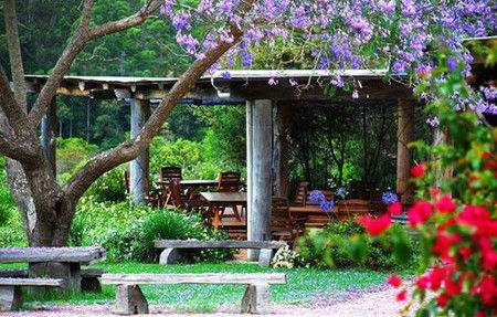 Bago Vineyards - South Australia Travel 1