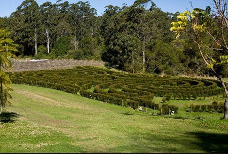 Bago Vineyards - South Australia Travel 2