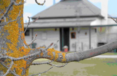 Dunalan Host Farm Cottage - South Australia Travel 1