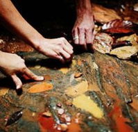 Daintree Eco Lodge And Spa - South Australia Travel