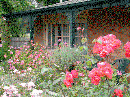 Balnarring Village Motor Inn - South Australia Travel 5