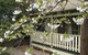 Harrow Cottages - thumb 0