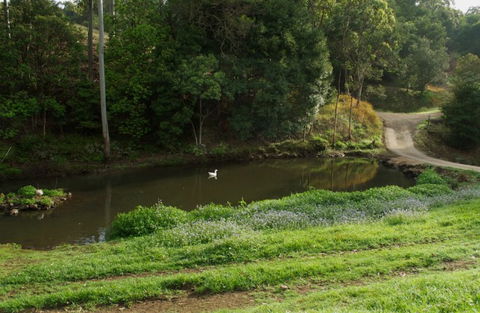 Wattle Gully Retreat - South Australia Travel 4