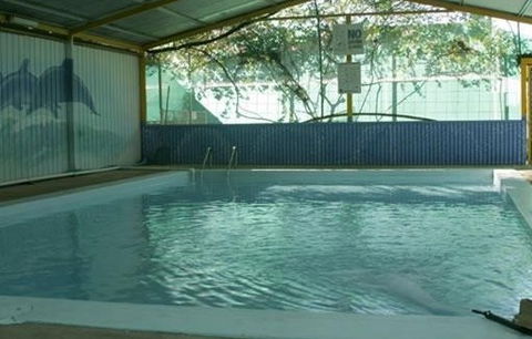 Wycliffe Well Holiday Park - South Australia Travel 1