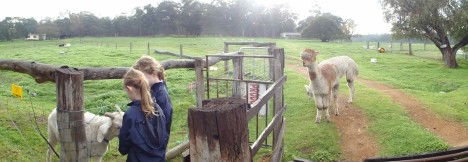 Boronia Farm Farmstay - South Australia Travel 0