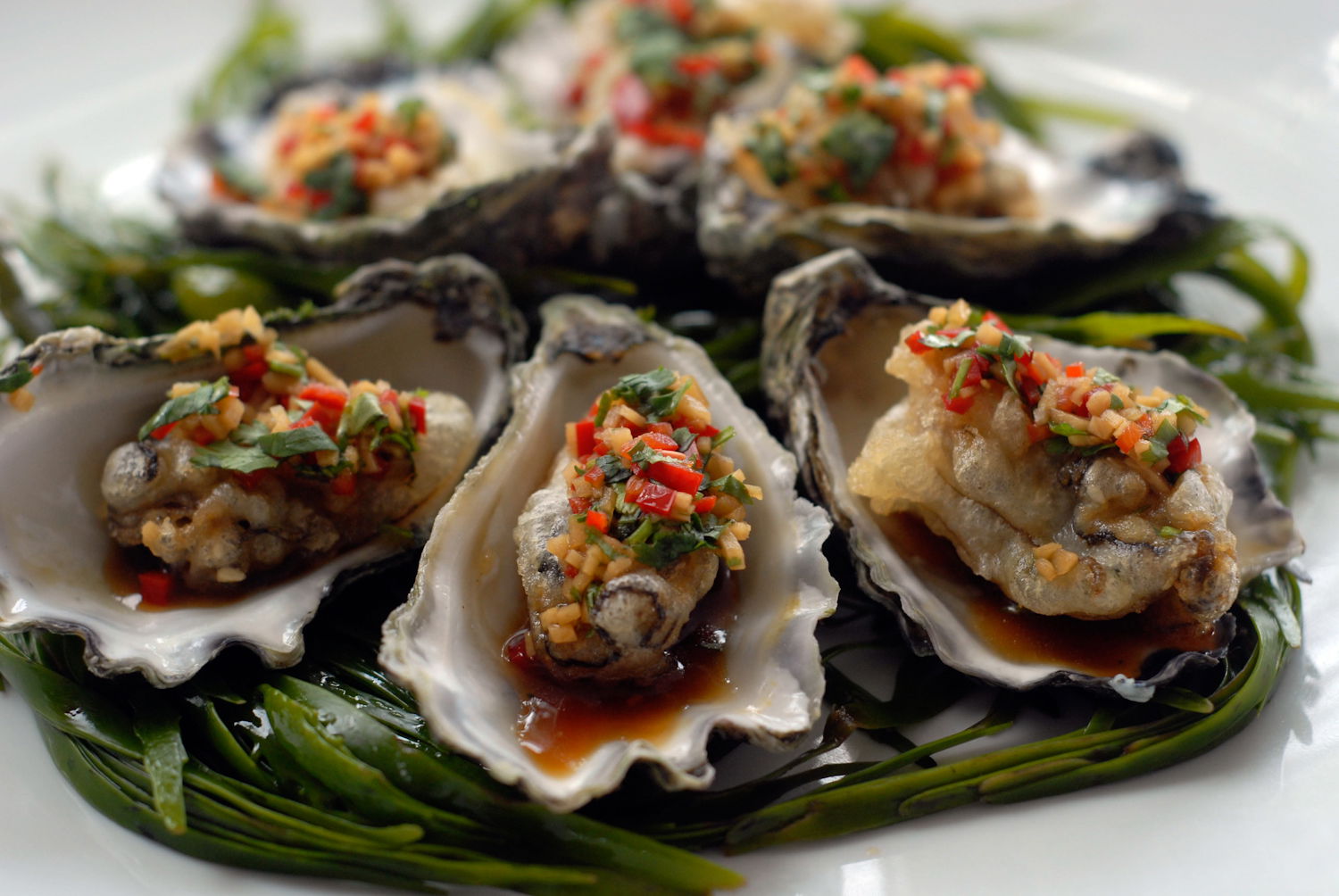 Mollymook NSW South Australia Travel