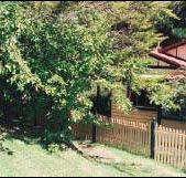 Apple Tree Cottage - South Australia Travel