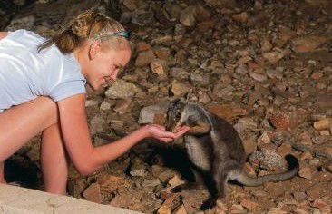 Heaviytrr Gap Outback Lodge - South Australia Travel 5