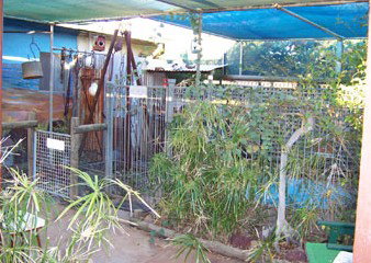 Safari Lodge Motel - South Australia Travel 1