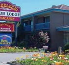 Strzelecki Motor Lodge - South Australia Travel