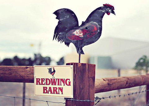 Redwing Farm - The Barn - South Australia Travel 0