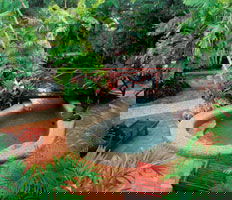 City Oasis Inn - South Australia Travel 0