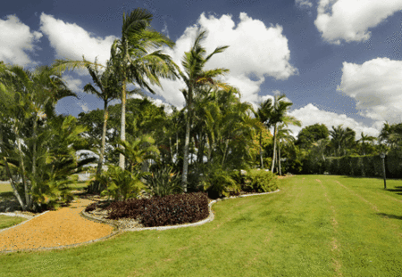 Mcnevins Loganholme - South Australia Travel 3
