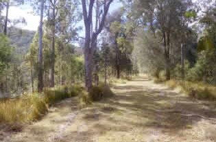 Toms Creek Retreat - South Australia Travel 1