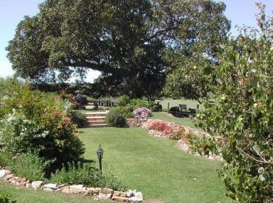 Maddies Of Bolwarra - South Australia Travel 1