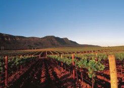 Peppers Guest House Hunter Valley - South Australia Travel 2