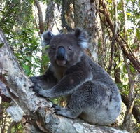O'Carrollyns At One Mile Beach - South Australia Travel