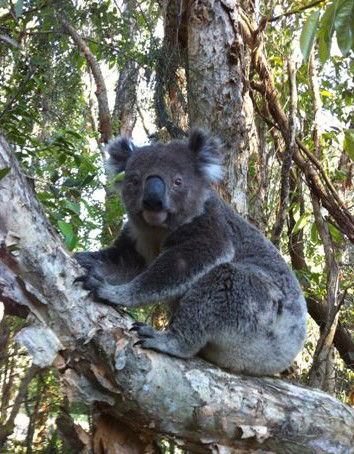 O'Carrollyns At One Mile Beach - South Australia Travel 0