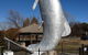 Snow Goose Hotel Motel - thumb 0