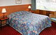 Mt Lyell Motor Inn - thumb 0