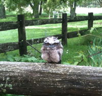 Milton Park - South Australia Travel