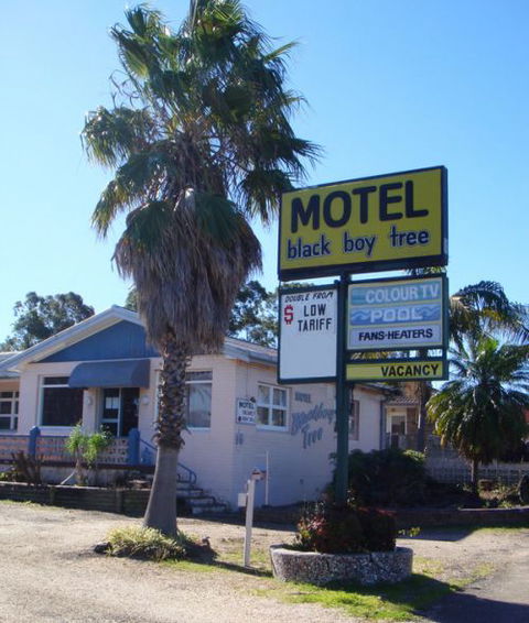 Blackboy Tree Motel - South Australia Travel 0