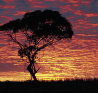 Kimba Caravan Park amp Motel - South Australia Travel