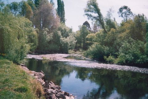 Boutique Motel Sefton House - South Australia Travel 7