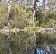 Sanctuary House Resort Motel - Healesville - South Australia Travel 5