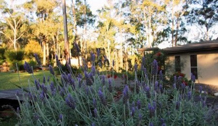 Wild Edge Retreat - South Australia Travel 2