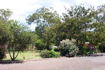 Colonial Inn Tamworth - South Australia Travel 4