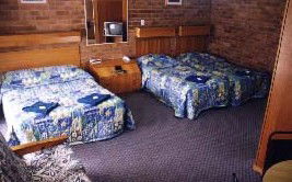 Border Motel - South Australia Travel 0