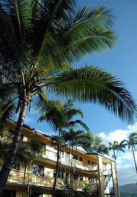 Palms At Trinity - South Australia Travel 3