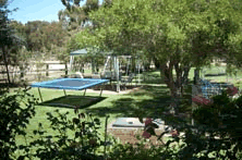 Tarcutta Halfway Motor Inn - South Australia Travel 8