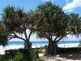 Pacific Surf Absolute Beachfront Apartments - South Australia Travel 0