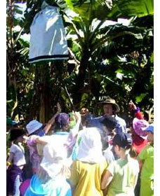 Beachfarm Farmstay - South Australia Travel 0