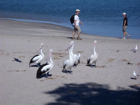 Kalbarri Accommodation Service - South Australia Travel 5