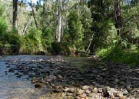 River Rest Country Cottage - South Australia Travel 0