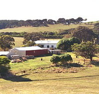 Sun Valley Eco Farm - South Australia Travel