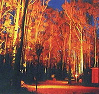 Dwellingup Chalet amp Caravan Park - South Australia Travel