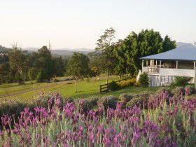 Dayboro QLD South Australia Travel