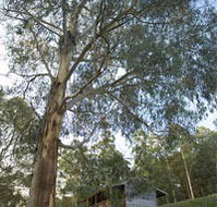 Outpost Restaurant - South Australia Travel