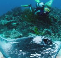 Heron Island Resort - South Australia Travel