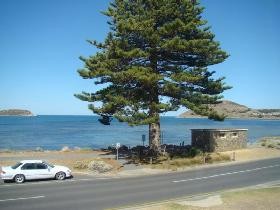 Oceanview - South Australia Travel 0