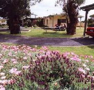 Brigadoon Holiday Units - South Australia Travel