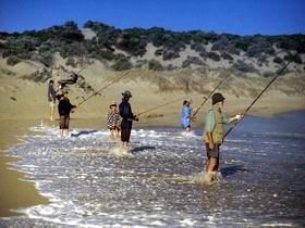 Flippers Beachouse - South Australia Travel 0
