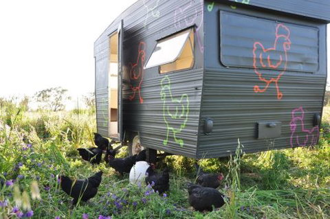 Girragirra Retreat - South Australia Travel 6